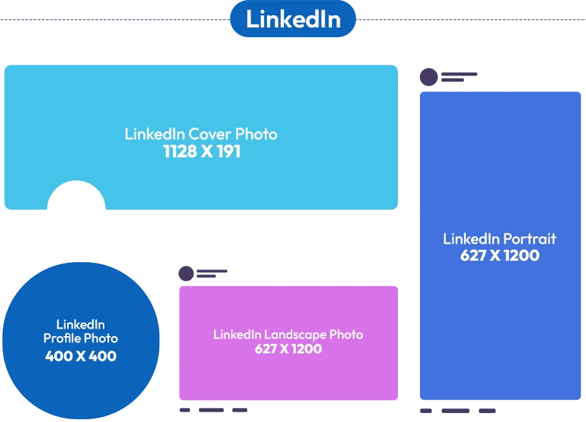 linkedinsize
